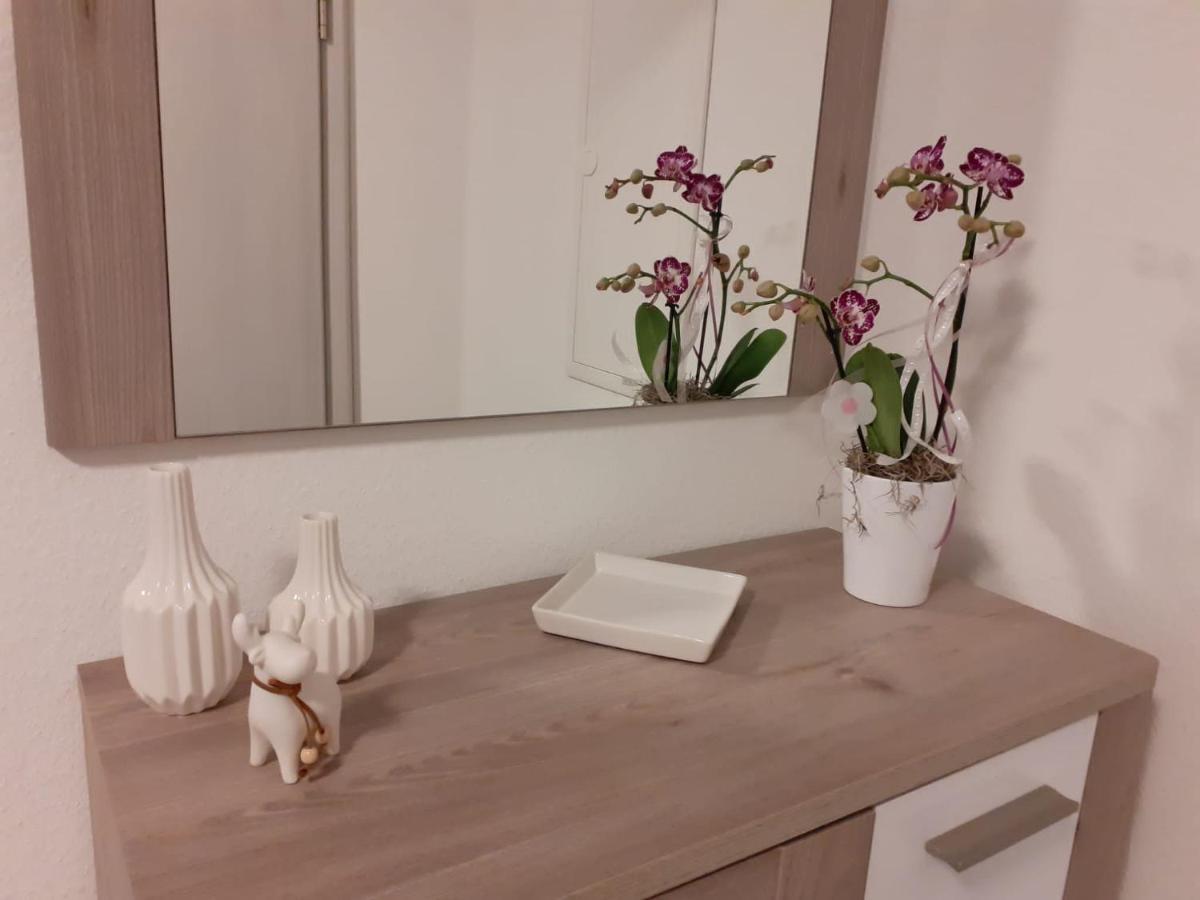 Apartmán Haus Muehlenbach Mechernich Exteriér fotografie