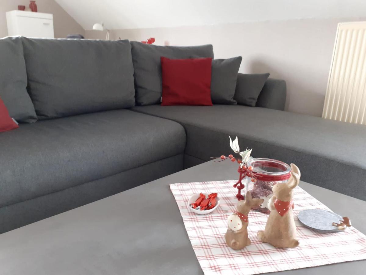 Apartmán Haus Muehlenbach Mechernich Exteriér fotografie